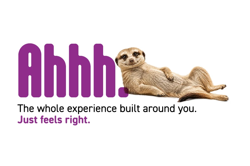 Columbia Dental Meerkat